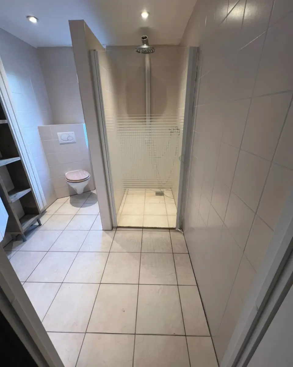 Badkamer en toilet met glazen douchewand, voor de renovatie